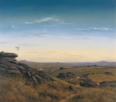 Evening Sky by Simon Cook